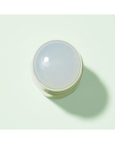CAUDALIE VINOFRESH DESODORANTE 